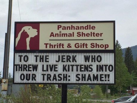Billboard Response To Abandoned Kittens from Panhandle Animal Shelter