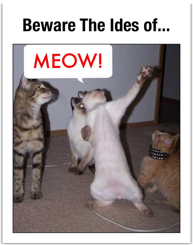 IDES OF MEOW 2