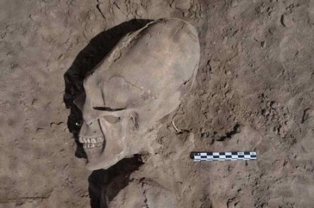 Nephilim Skull Mexico - Photo by Cristina Garcia Moreno INAH