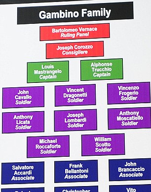 Who's in charge: The colour-coded organisational chart shows the hierarchy of some of the most feared Mafia families in New York - the boss, underboss, captains and soldiers are depicted on different levels of the chart