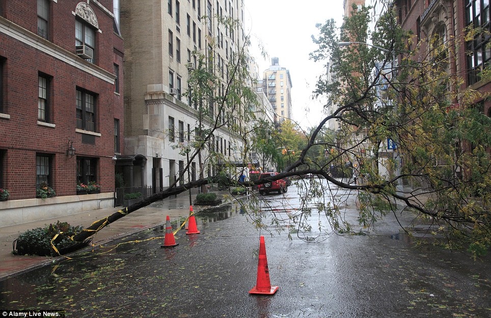 Something in the way: A fallen tree blocks a street on the Upper East Side of Manhattan in the wake of Hurricane Sandy